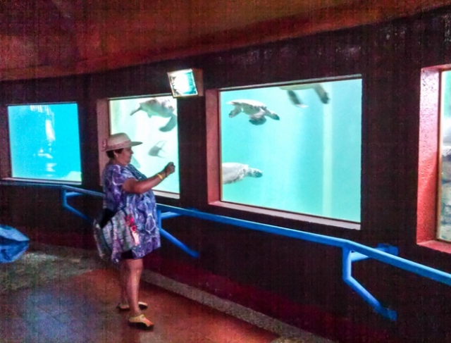 Visitas obligatorias